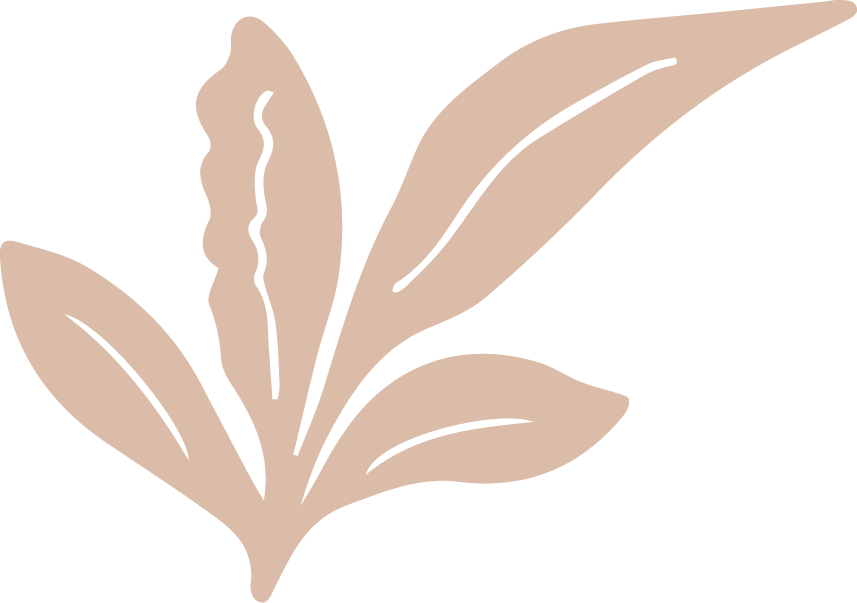 Praxis Shanti Naturheilkunde